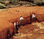 The Corn Harvest Pieter Bruegel the Elder